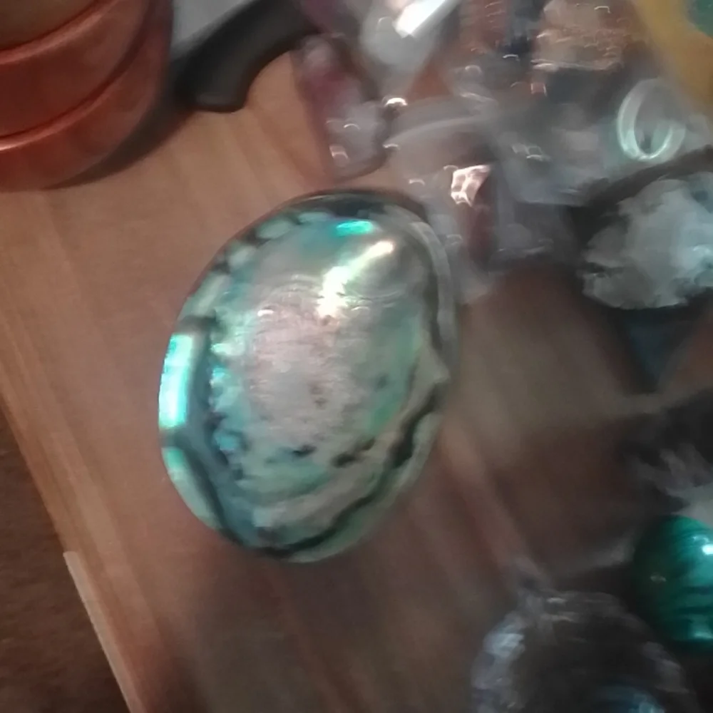 Opalized Abalone shell - Picture 4 of 5
